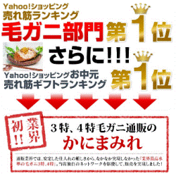 【顧客満足95%超】ワケナシ・納得品質認知度UPで再注文急増中の「かにまみれ」!リピート90日OK!