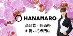 HANAMAROのポイント対象リンク