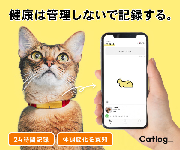 猫様の生活をテクノロジーで見守る【Catlogシリーズ】
